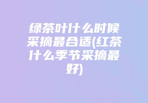 绿茶叶什么时候采摘最合适(红茶什么季节采摘最好)