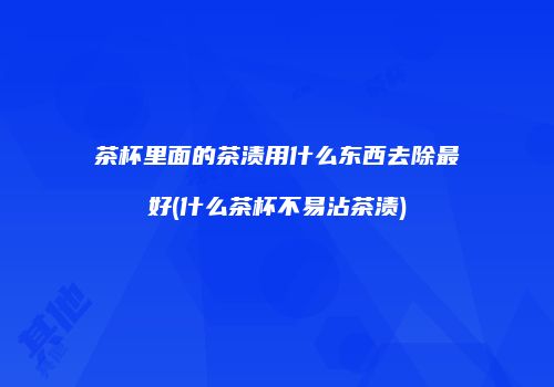 茶杯里面的茶渍用什么东西去除最好(什么茶杯不易沾茶渍)