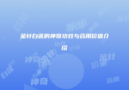 金针白莲的神奇功效与药用价值介绍