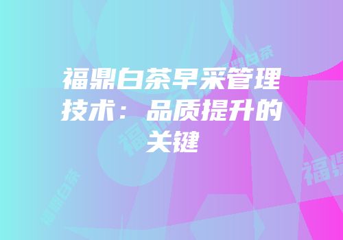 福鼎白茶早采管理技术：品质提升的关键