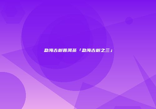 勐海古树普洱茶「勐海古树之三」