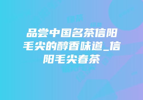 品尝中国名茶信阳毛尖的醇香味道_信阳毛尖春茶