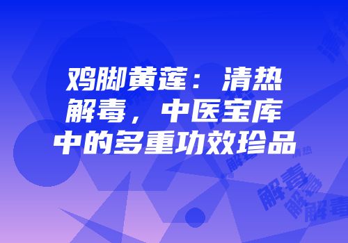 鸡脚黄莲：清热解毒，中医宝库中的多重功效珍品