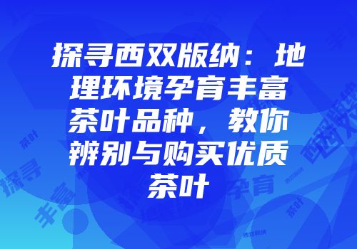 探寻西双版纳：地理环境孕育丰富茶叶品种，教你辨别与购买优质茶叶