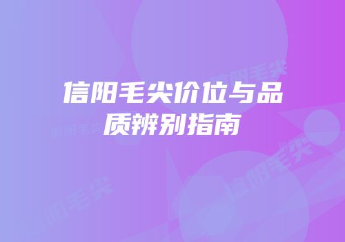 信阳毛尖价位与品质辨别指南