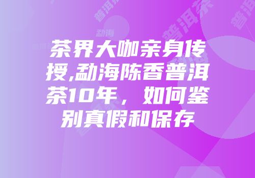 茶界大咖亲身传授,勐海陈香普洱茶10年，如何鉴别真假和保存