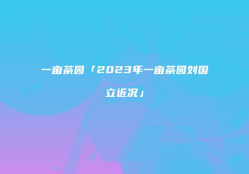 一亩茶园「2023年一亩茶园刘国立近况」