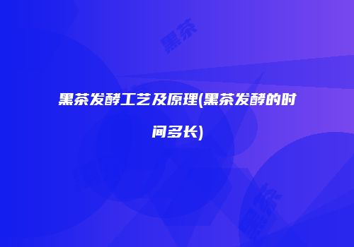 黑茶发酵工艺及原理(黑茶发酵的时间多长)