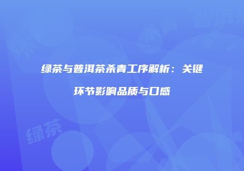绿茶与普洱茶杀青工序解析：关键环节影响品质与口感
