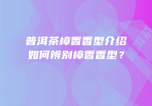 普洱茶樟香香型介绍如何辨别樟香香型？