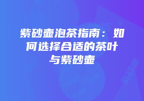 紫砂壶泡茶指南：如何选择合适的茶叶与紫砂壶