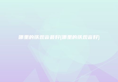哪里的铁观音最好(哪里的铁观音好)