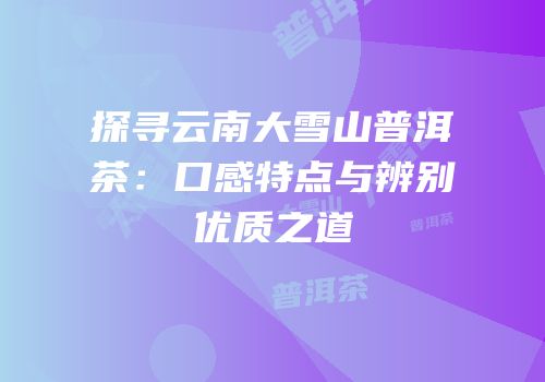 探寻云南大雪山普洱茶：口感特点与辨别优质之道