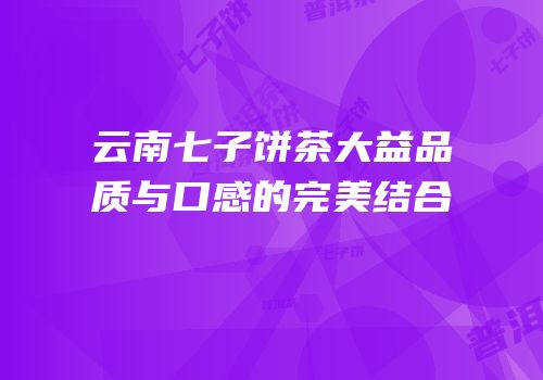云南七子饼茶大益品质与口感的完美结合