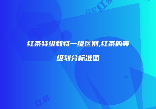 红茶特级和特一级区别,红茶的等级划分标准图