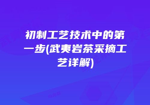 初制工艺技术中的第一步(武夷岩茶采摘工艺详解)