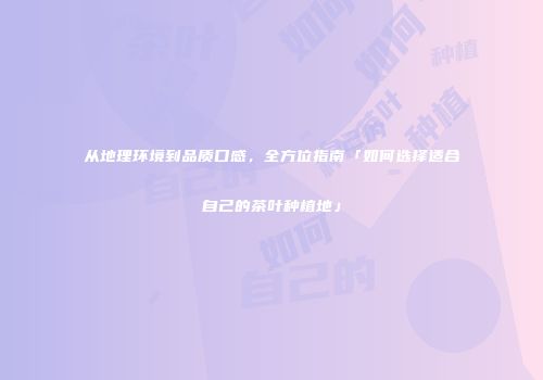 从地理环境到品质口感，全方位指南「如何选择适合自己的茶叶种植地」