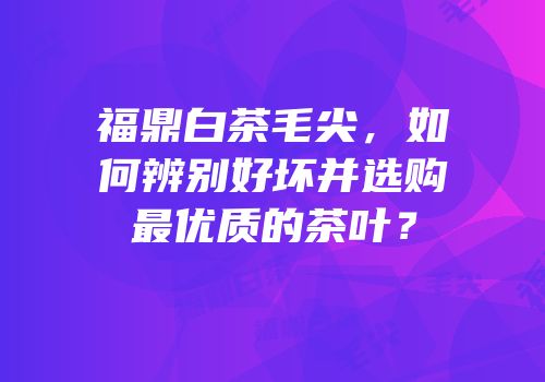 福鼎白茶毛尖，如何辨别好坏并选购最优质的茶叶？