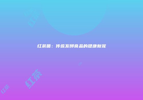 红茶菌：传统发酵食品的健康新宠