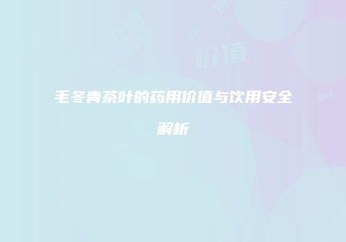 毛冬青茶叶的药用价值与饮用安全解析