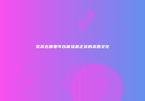 采茶去哪里可以体验最正宗的茶园文化