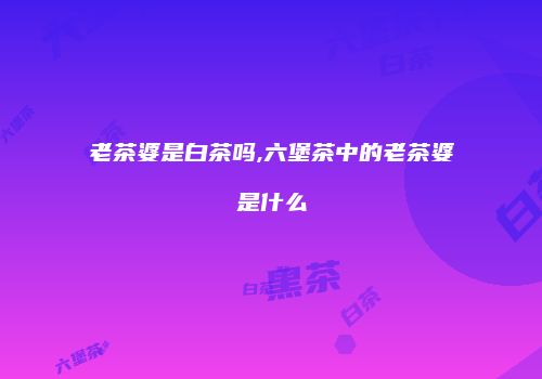 老茶婆是白茶吗,六堡茶中的老茶婆是什么