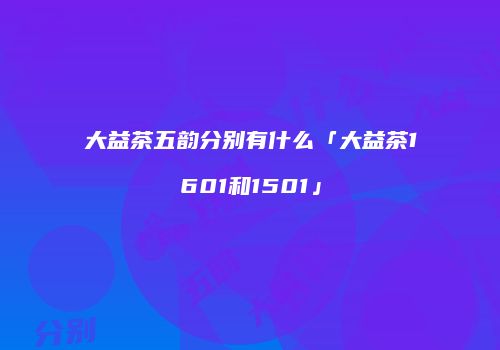 大益茶五韵分别有什么「大益茶1601和1501」