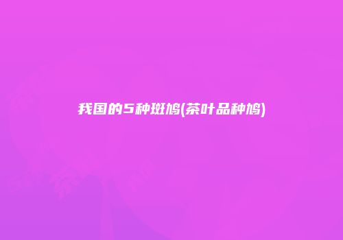我国的5种斑鸠(茶叶品种鸠)