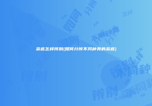 茶底怎样辨别(如何分辨不同种类的茶底)