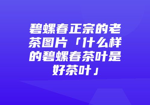 碧螺春正宗的老茶图片「什么样的碧螺春茶叶是好茶叶」