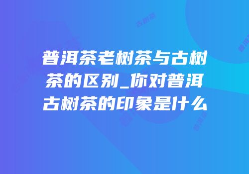 普洱茶老树茶与古树茶的区别_你对普洱古树茶的印象是什么