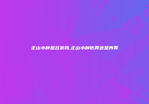 正山小种是名茶吗,正山小种伤胃还是养胃
