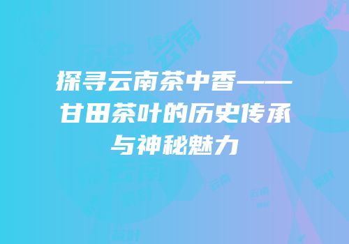探寻云南茶中香——甘田茶叶的历史传承与神秘魅力