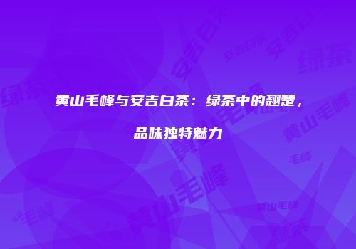 黄山毛峰与安吉白茶：绿茶中的翘楚，品味独特魅力