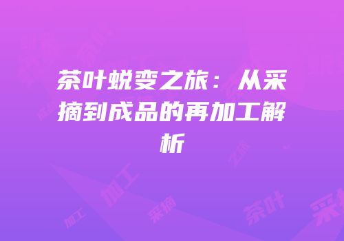 茶叶蜕变之旅：从采摘到成品的再加工解析