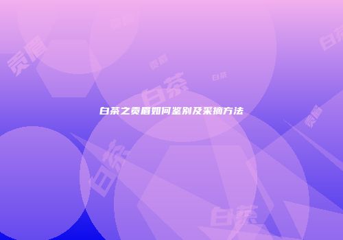 白茶之贡眉如何鉴别及采摘方法