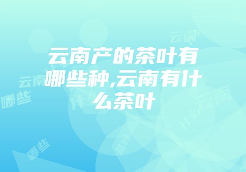 云南产的茶叶有哪些种,云南有什么茶叶