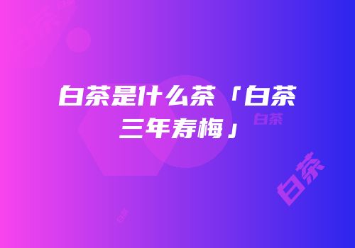 白茶是什么茶「白茶三年寿梅」