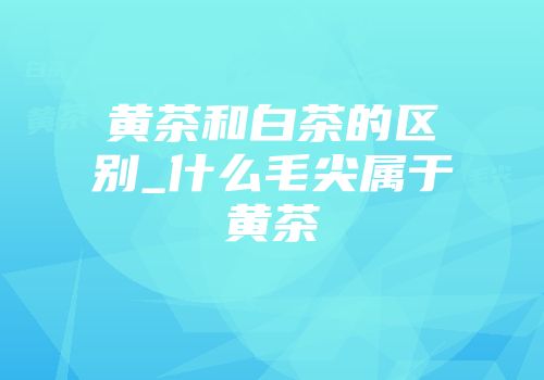黄茶和白茶的区别_什么毛尖属于黄茶