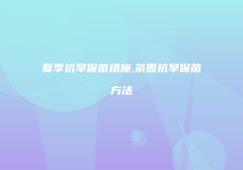 夏季抗旱保苗措施,茶园抗旱保苗方法