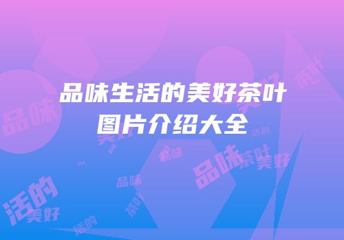品味生活的美好茶叶图片介绍大全