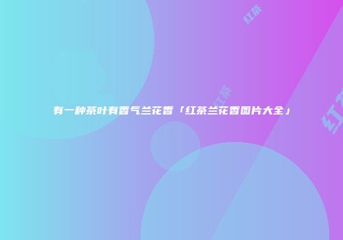 有一种茶叶有香气兰花香「红茶兰花香图片大全」