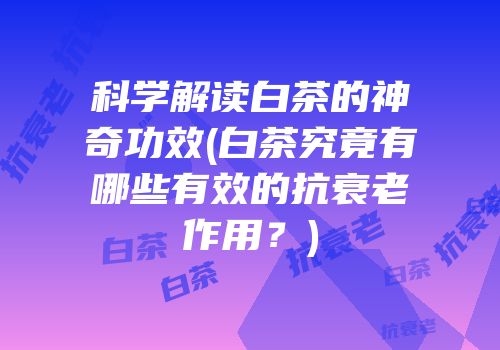 科学解读白茶的神奇功效(白茶究竟有哪些有效的抗衰老作用？)
