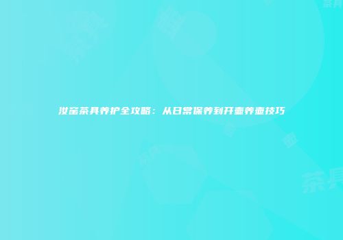 汝窑茶具养护全攻略：从日常保养到开壶养壶技巧