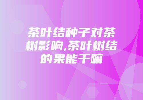 茶叶结种子对茶树影响,茶叶树结的果能干嘛