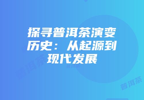 探寻普洱茶演变历史：从起源到现代发展