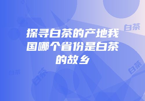 探寻白茶的产地我国哪个省份是白茶的故乡