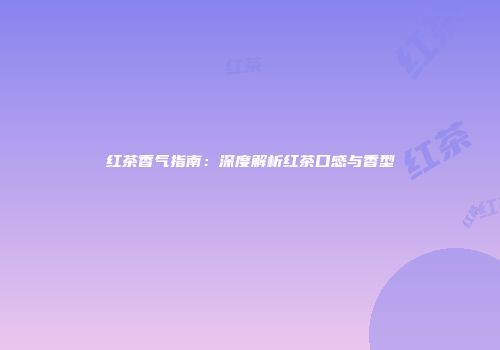红茶香气指南：深度解析红茶口感与香型