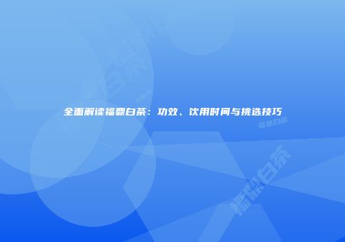 全面解读福鼎白茶：功效、饮用时间与挑选技巧