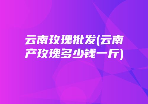 云南玫瑰批发(云南产玫瑰多少钱一斤)